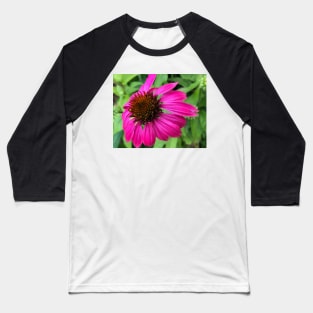 Rise and Shine with Pink Echinacea Baseball T-Shirt